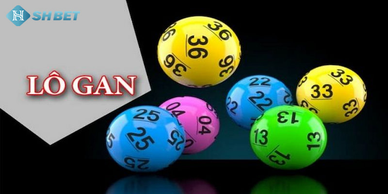 Banner www.minhkiet.com.vn