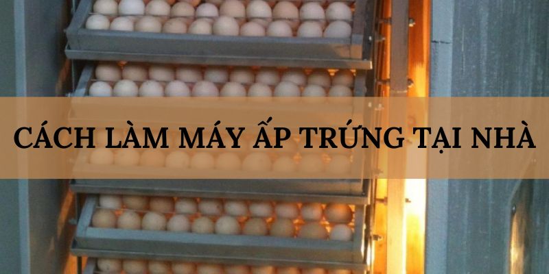 Banner www.minhkiet.com.vn