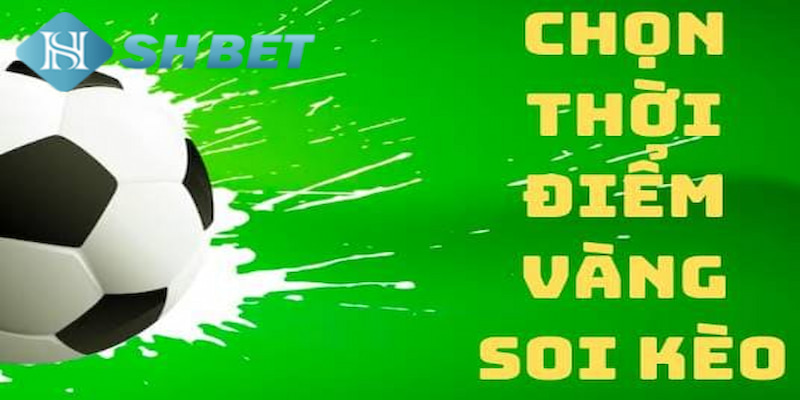 Banner www.minhkiet.com.vn