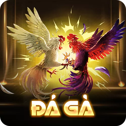 Banner www.minhkiet.com.vn