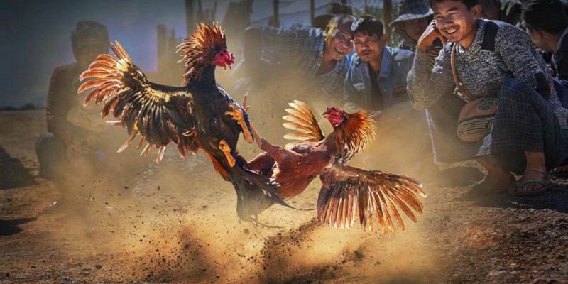 Banner www.minhkiet.com.vn