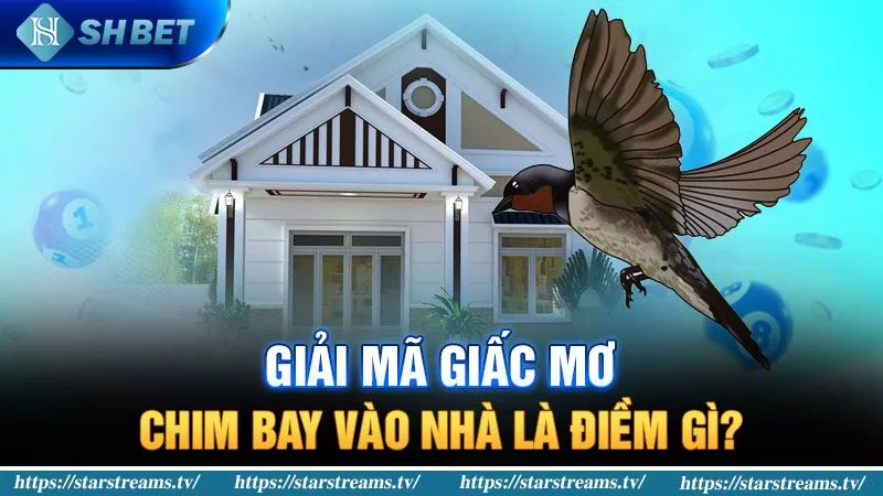 Banner www.minhkiet.com.vn