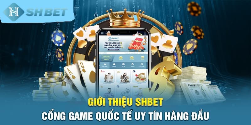 Banner www.minhkiet.com.vn