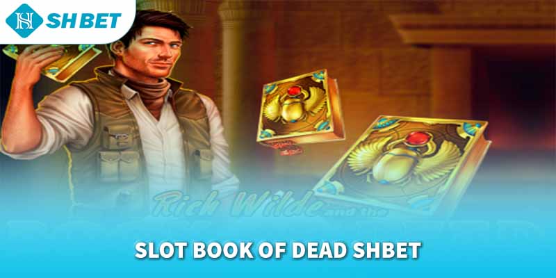 Banner www.minhkiet.com.vn