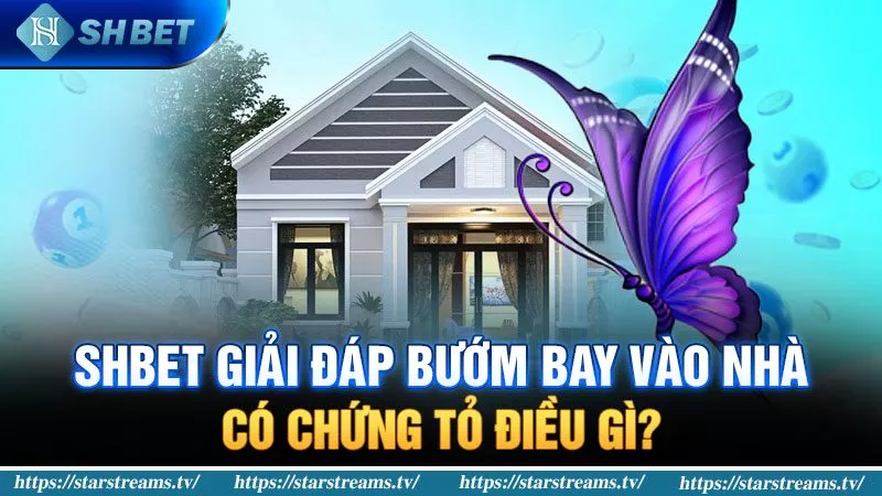 Banner www.minhkiet.com.vn